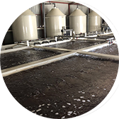 生物絮團(tuán)養(yǎng)殖案例一